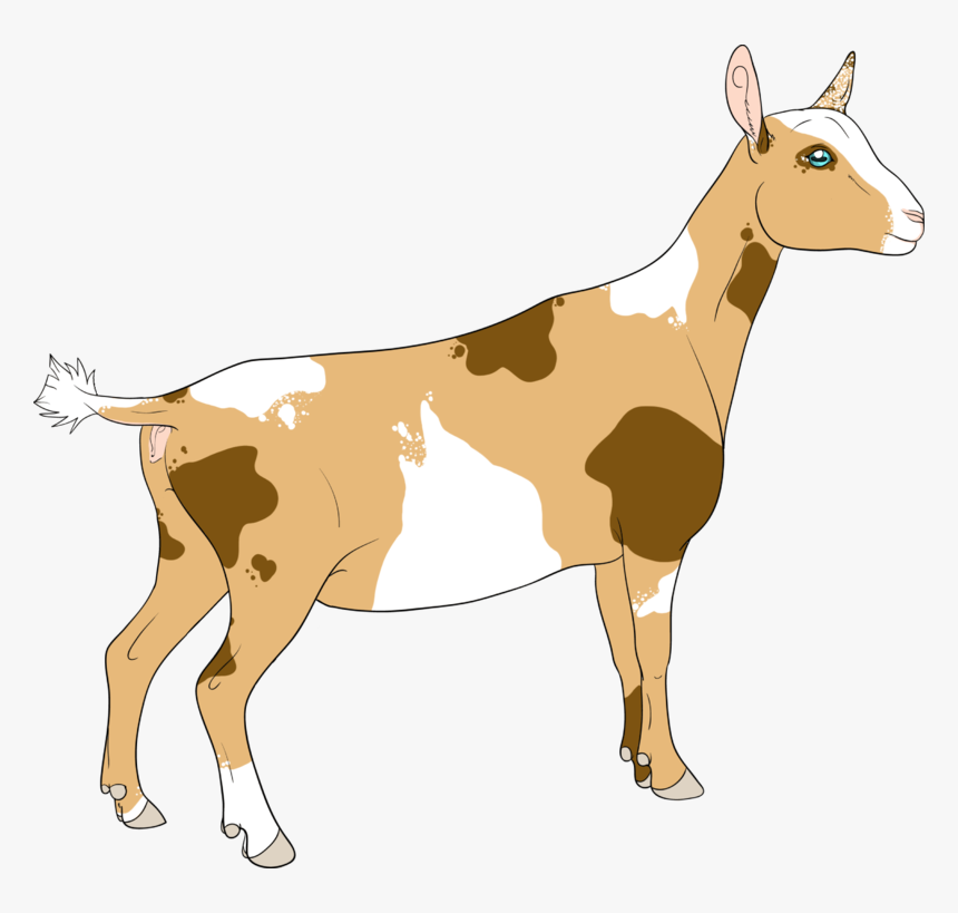 Goat Horns Png For Kids - Nigerian Dwarf Goat Clipart, Transparent Png