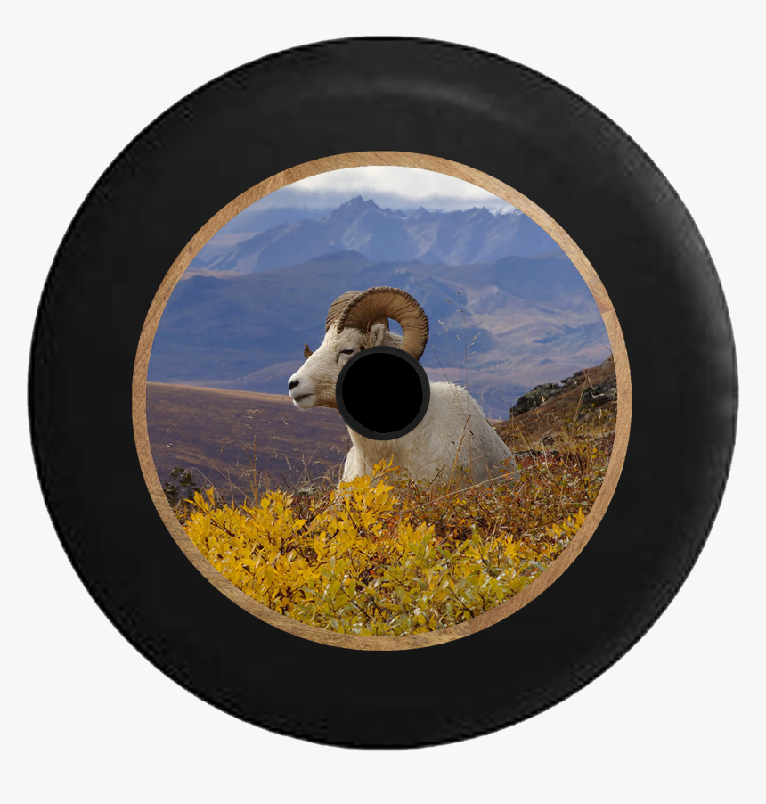 Jeep Wrangler Jl Backup Camera Ram Horns In The Mountain - Denali National Park, HD Png Download