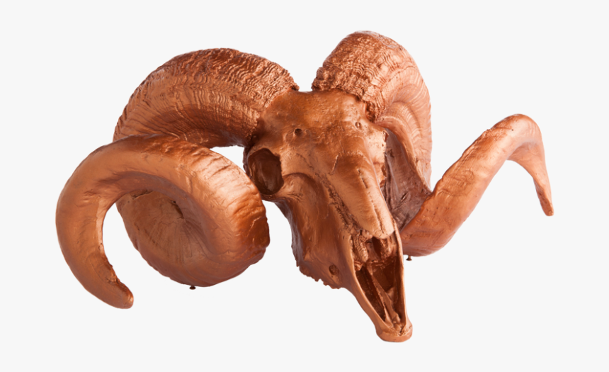 Gold Leaf Resin Ram Skull With Horns On Medallion - Baked Goods, HD Png Download