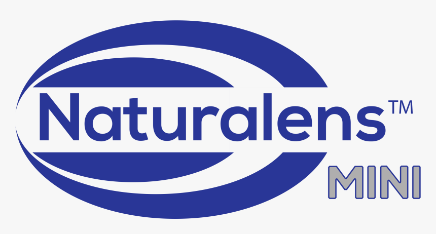 Oval, HD Png Download