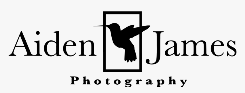 Photographer Silhouette Png, Transparent Png