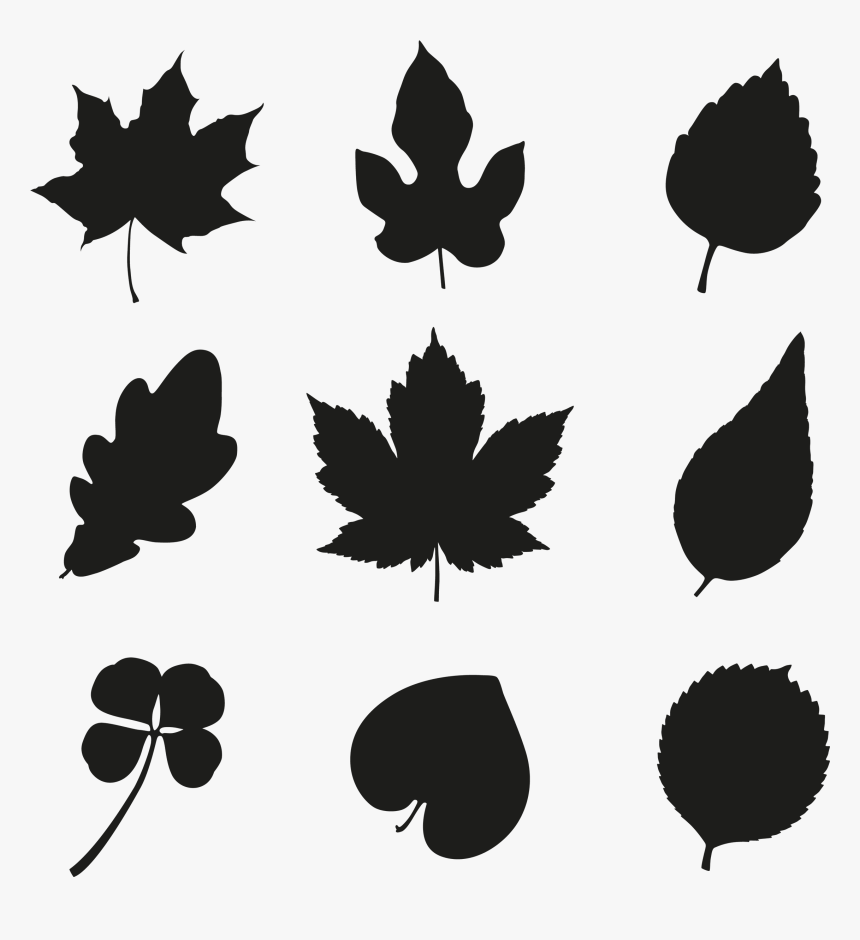 Vector Graphics Silhouette Image Illustration Drawing - Dibujo De Silueta De Hojas, HD Png Download