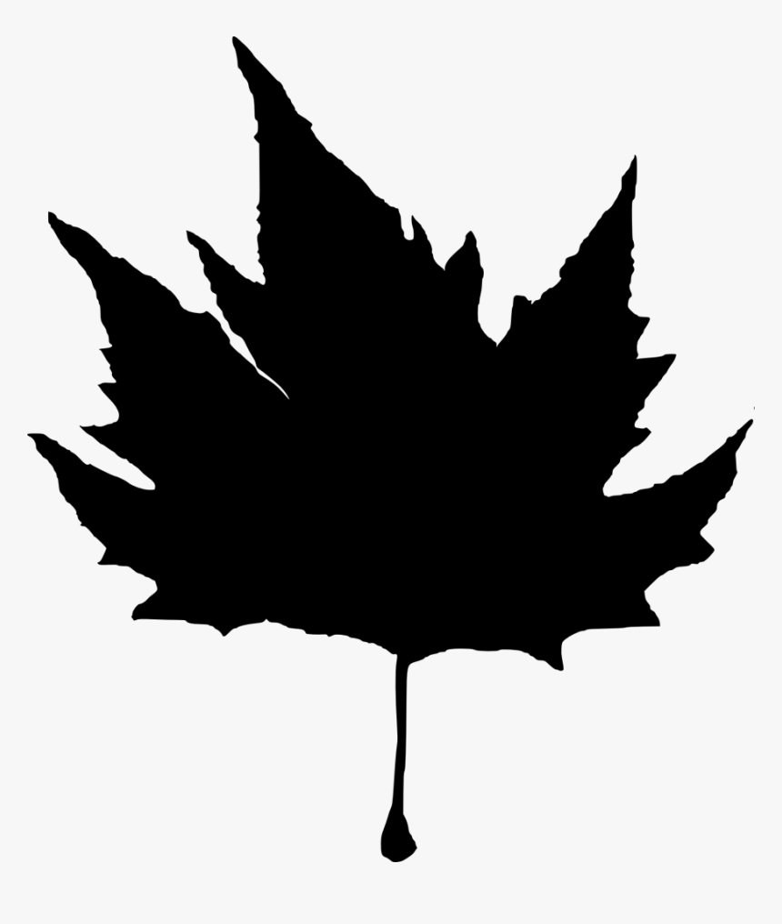 Maple Leaf, HD Png Download