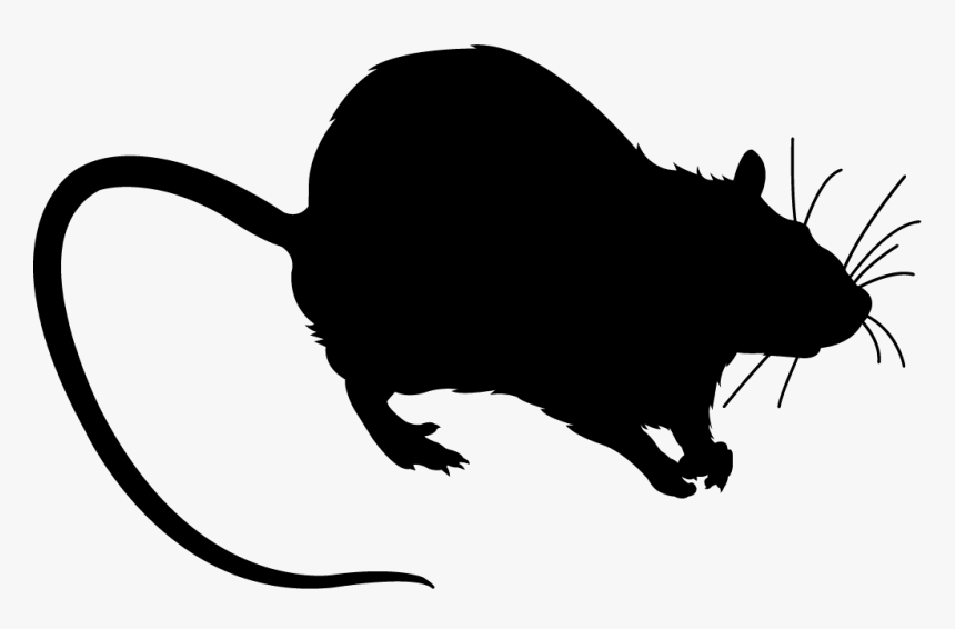 Rat Black Silhouette - Крыса Силуэт, HD Png Download