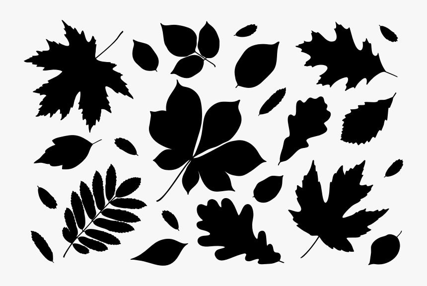 Autumn Leaves Silhouettes - Autumn Leaves Silhouette, HD Png Download