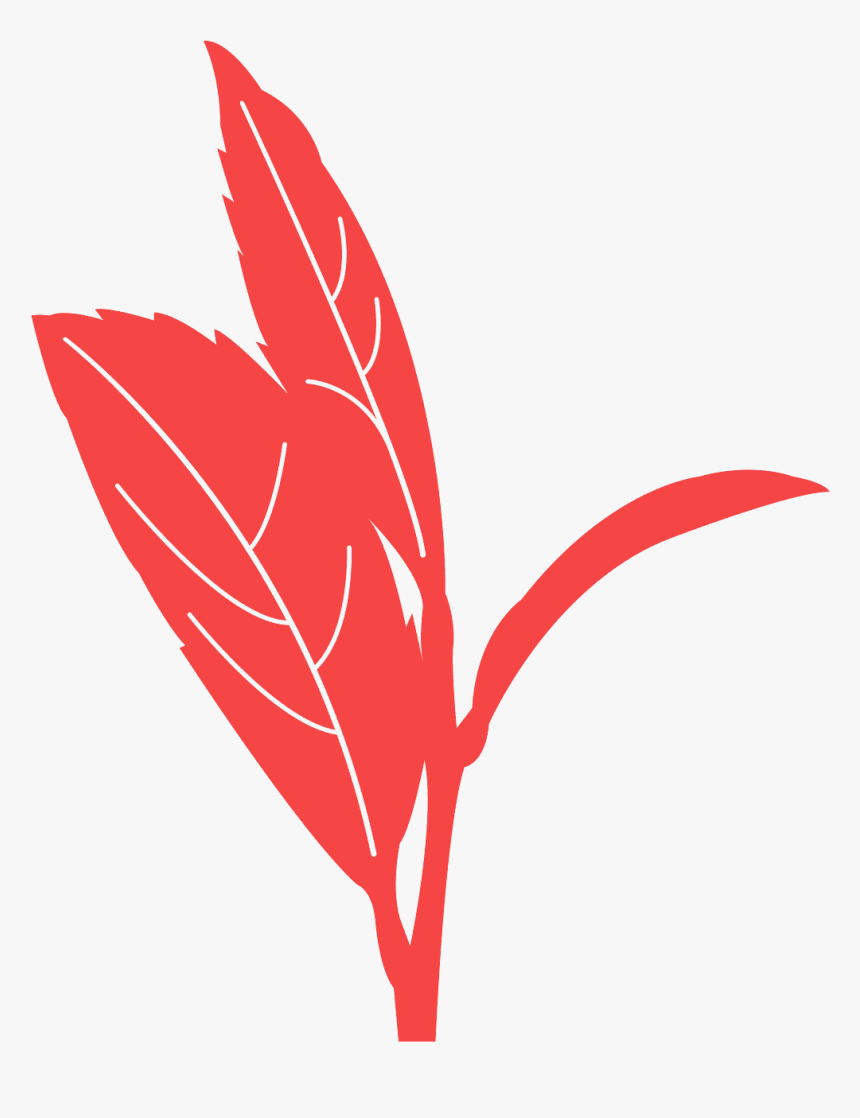 Red Tea Leaf, HD Png Download