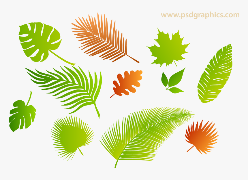 Leaf Silhouette Png, Transparent Png
