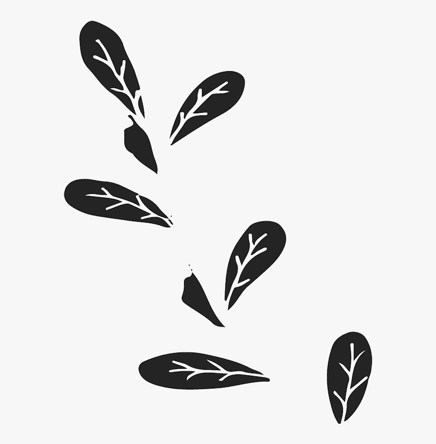 Transparent Leaf Silhouette Png - Graphic Design, Png Download