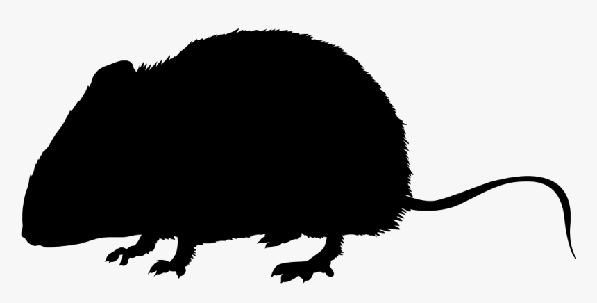 Punxsutawney Phil - Silhouette, HD Png Download