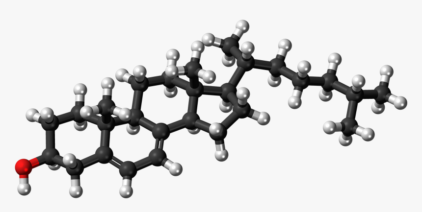 Cholesterol Ball And Stick, HD Png Download