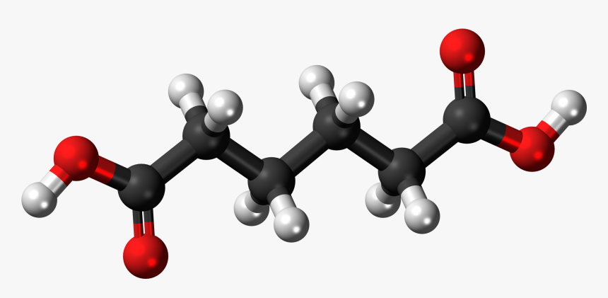 Succinic Acid 3d Structure, HD Png Download