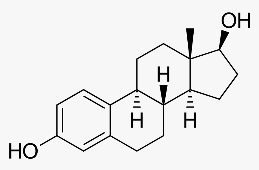 Clip Art Wikipedia - Oestrogen Structure, HD Png Download