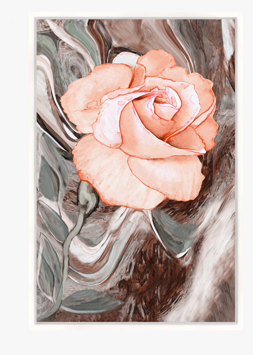 Garden Roses, HD Png Download