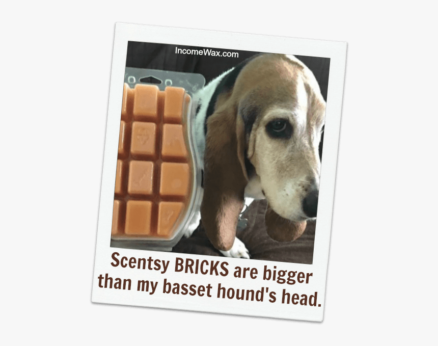How Many Bars In A Scentsy Brick - Groundswell, HD Png Download