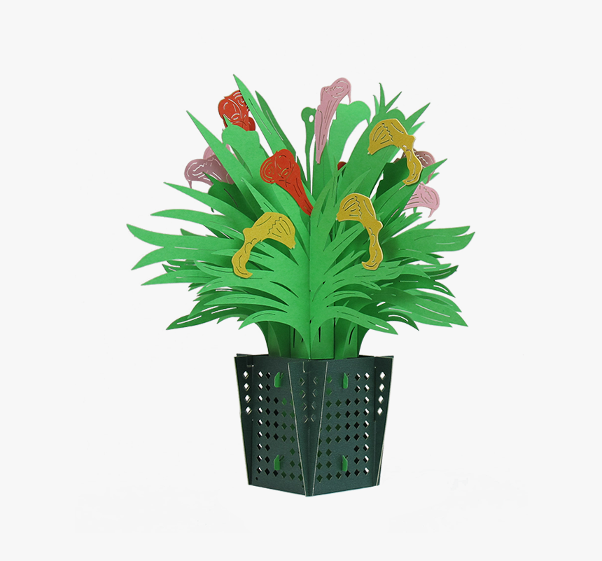 Transparent House Plant Png - Houseplant, Png Download