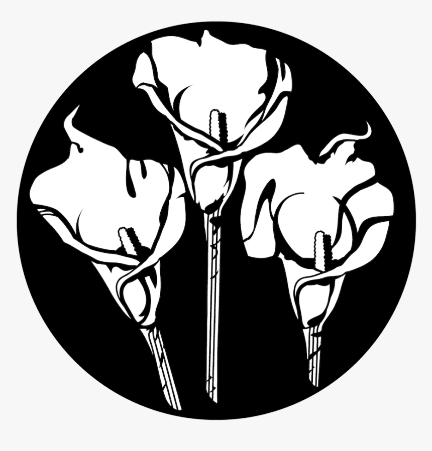 Apollo Design 1185 Calla Lily Trio Steel Pattern - Clip Art, HD Png Download