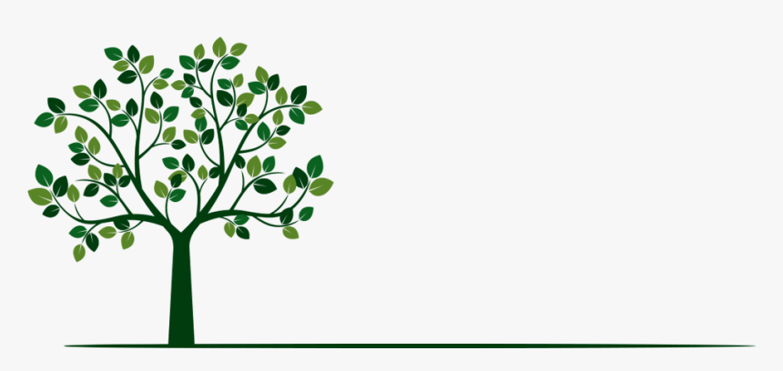 Tree Trimming & Removal From The Experts - Plantas Con Raíces, HD Png Download