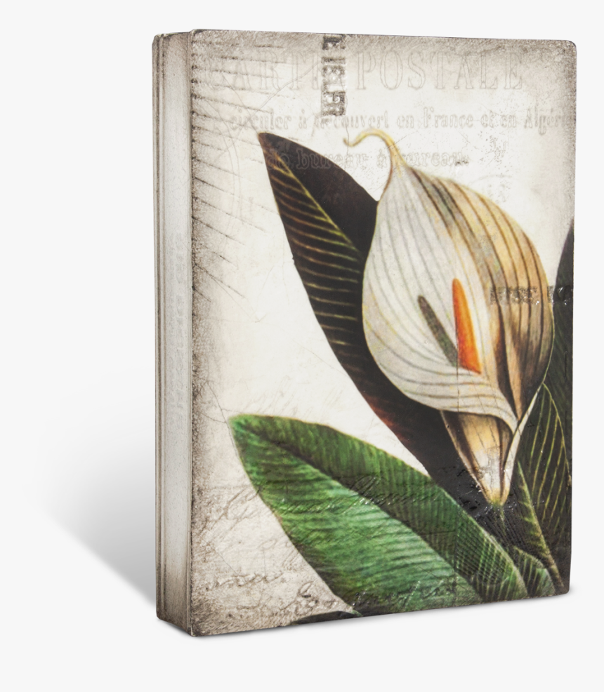 Floral Design, HD Png Download