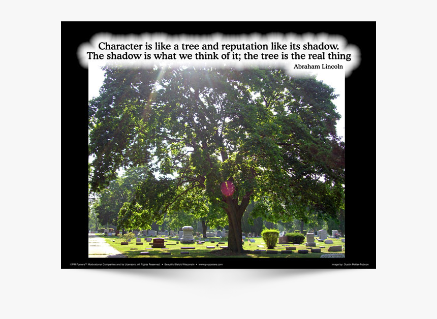This Is The English Version Of Poster Design - California Live Oak, HD Png Download