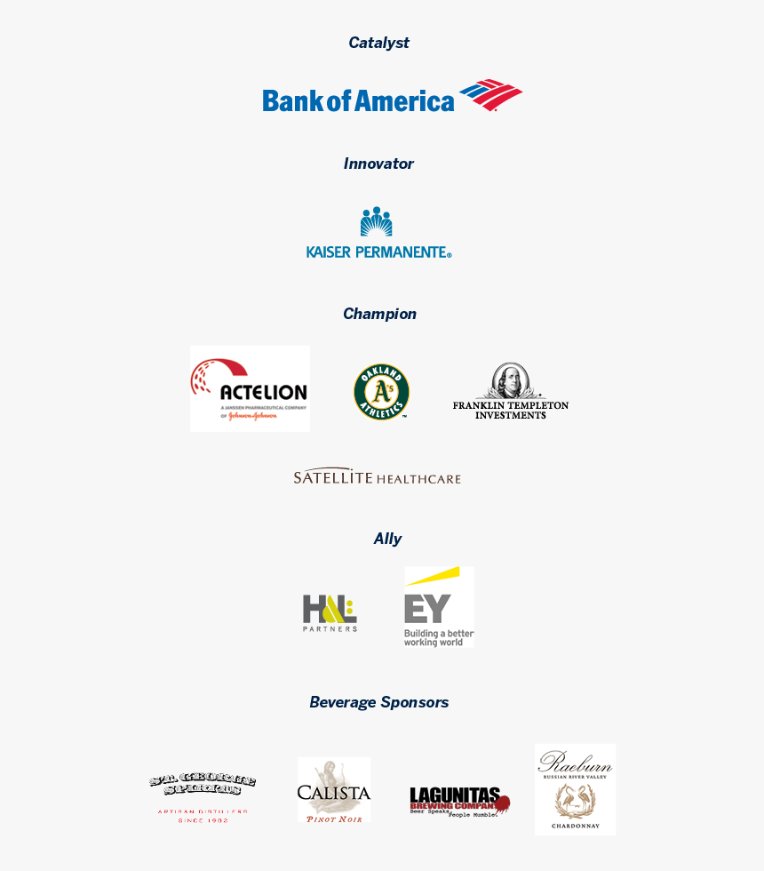 Graphic Of All Sponsors For Ziggurat Including - Bank Of America, HD Png Download