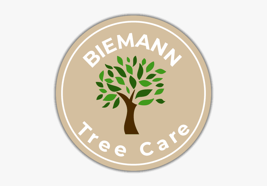 Us Army, HD Png Download