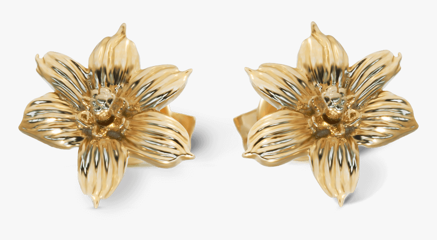 Yellow Gold Bermudiana Flower Earrings - Earrings, HD Png Download