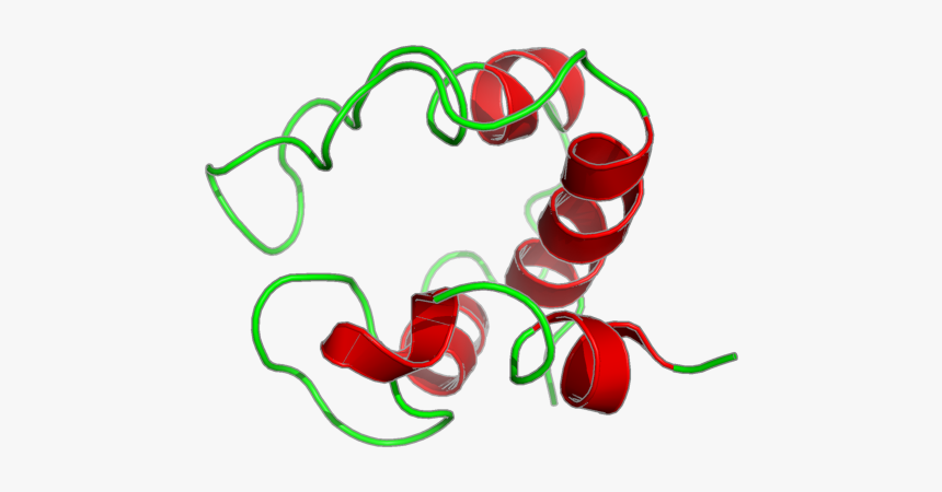 Bell Peppers And Chili Peppers, HD Png Download