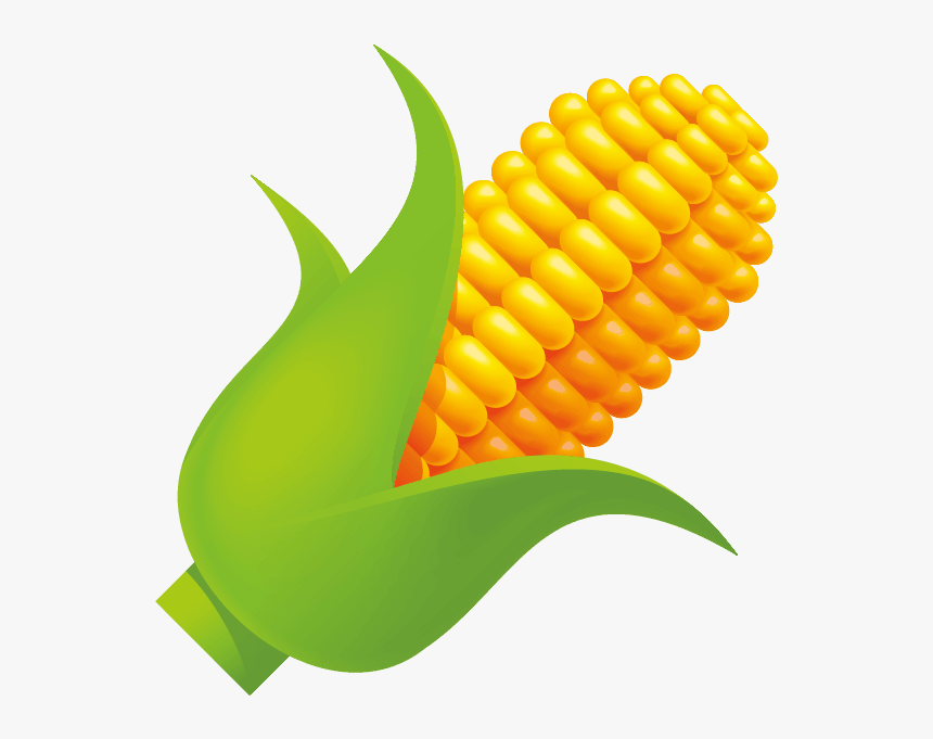 Corn On The Cob, HD Png Download