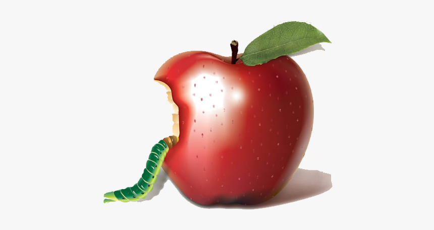 Apple Bobbing Biting Auglis - Apple Insect, HD Png Download
