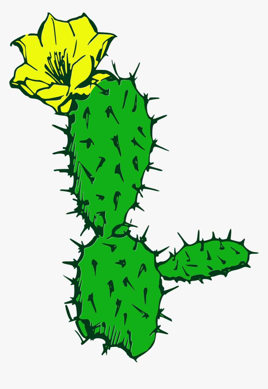 Cactus, Flower, Desert, Plant, Succulent, Cacti - Cactus, HD Png Download