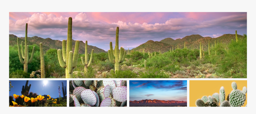 Tucson, HD Png Download