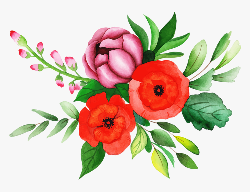 Common Peony, HD Png Download