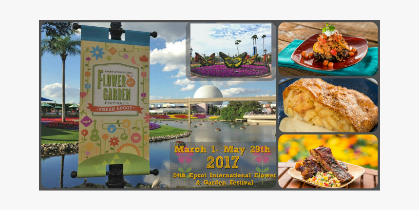 Visual Arts, HD Png Download