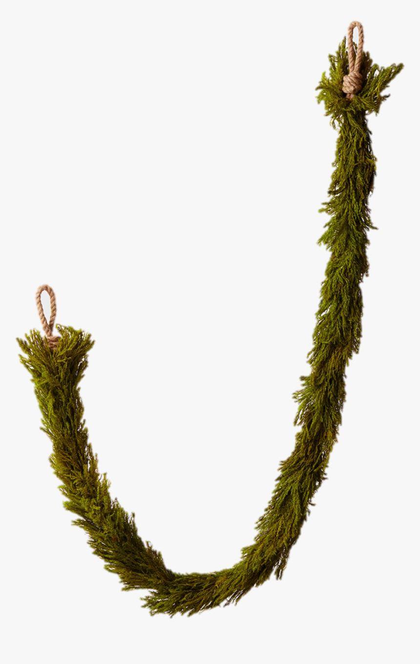 Transparent Holly Garland Png - Garland, Png Download