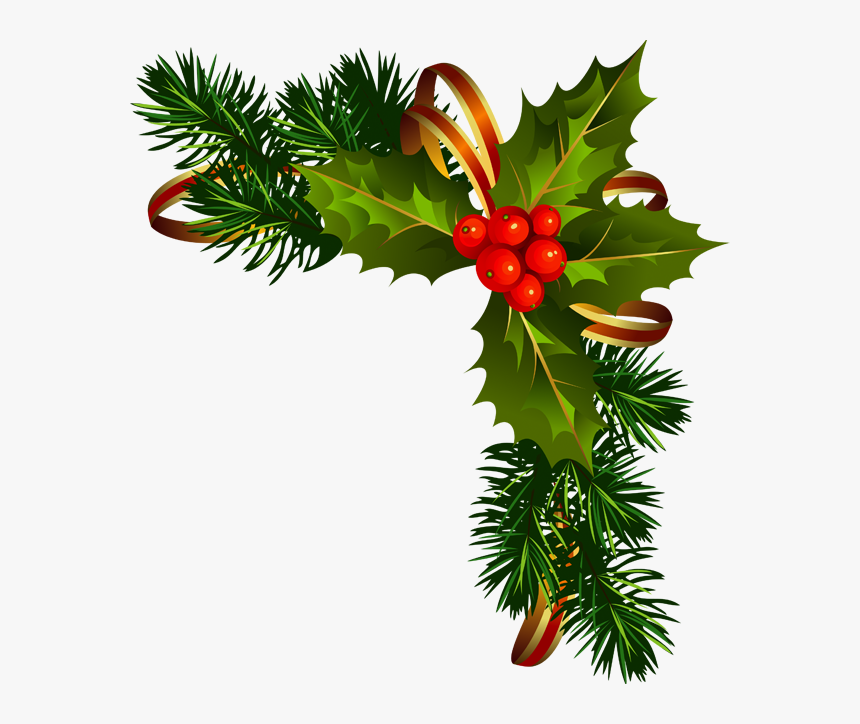 Pine Garland Clipart - American Holly, HD Png Download
