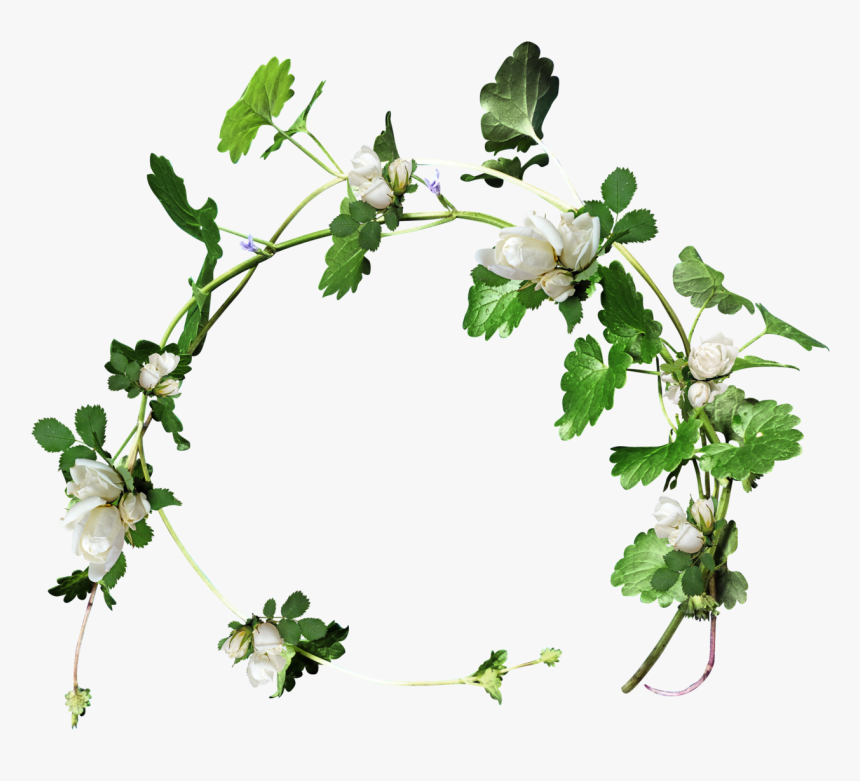 Transparent Christmas Holly Garland Clipart, HD Png Download