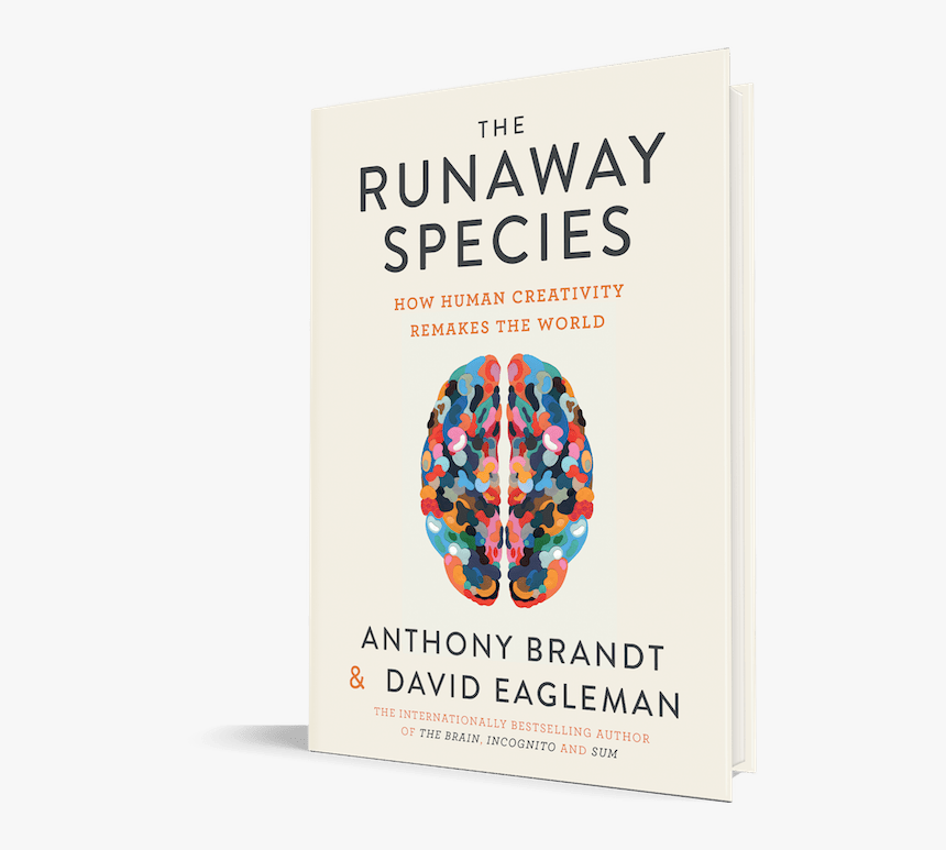 David Eagleman The Runaway Species, HD Png Download