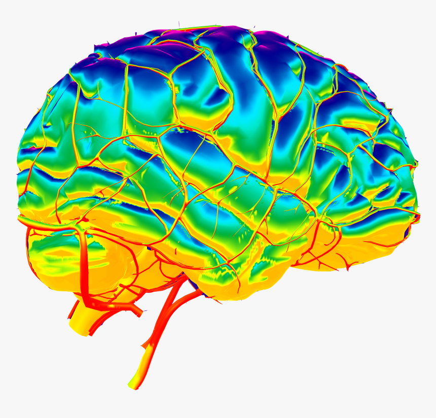 Brain Png Download - Illustration, Transparent Png