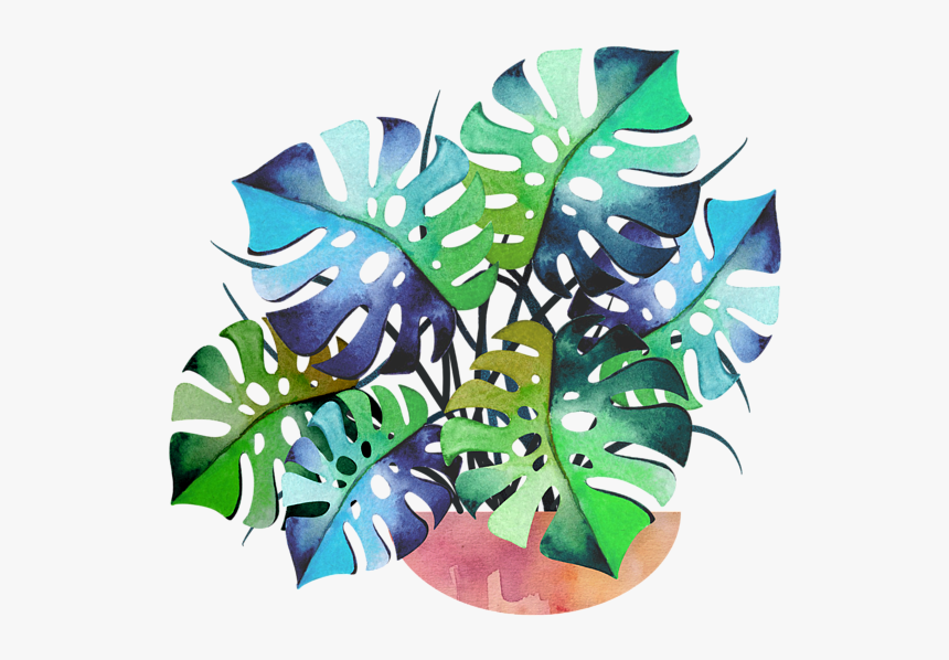 Swiss Cheese Plant Art, HD Png Download