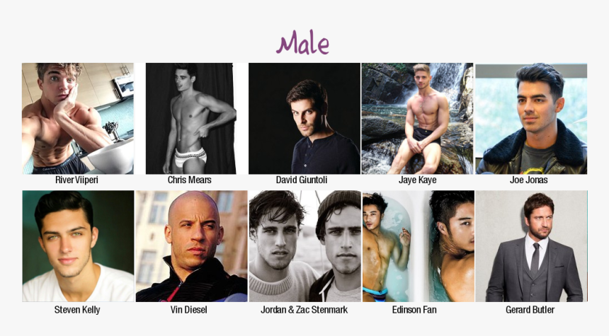 Collage, HD Png Download