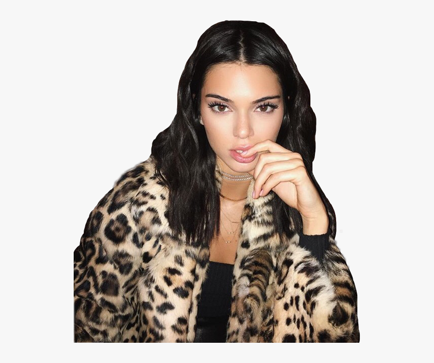 Transparent Kendall Jenner Png - Kendall Jenner Instagram Profile, Png Download