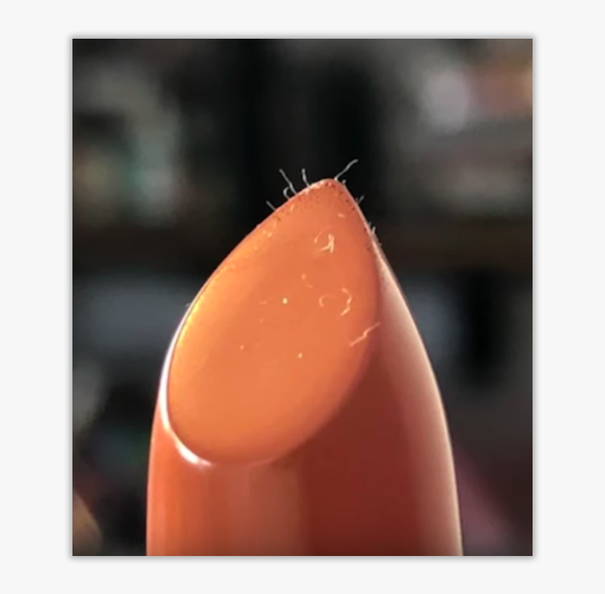 Macro Photography, HD Png Download