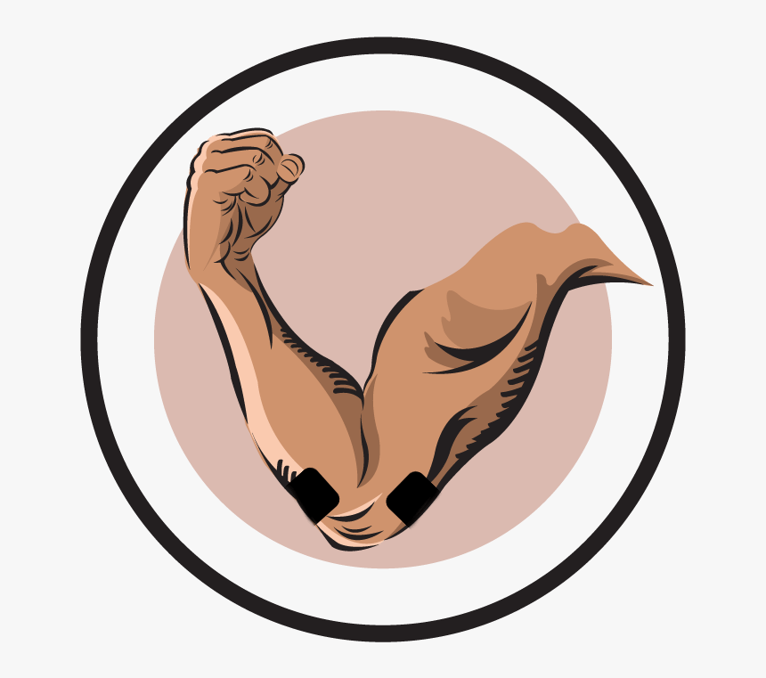 Transparent Bicep Clipart - Tennis Elbow Tens Placement, HD Png Download