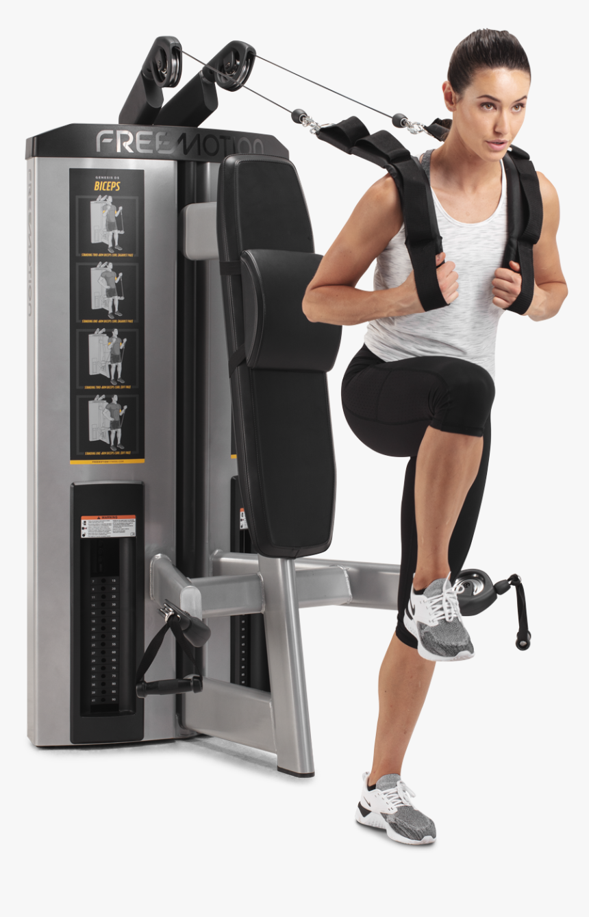 Biceps Curl, HD Png Download