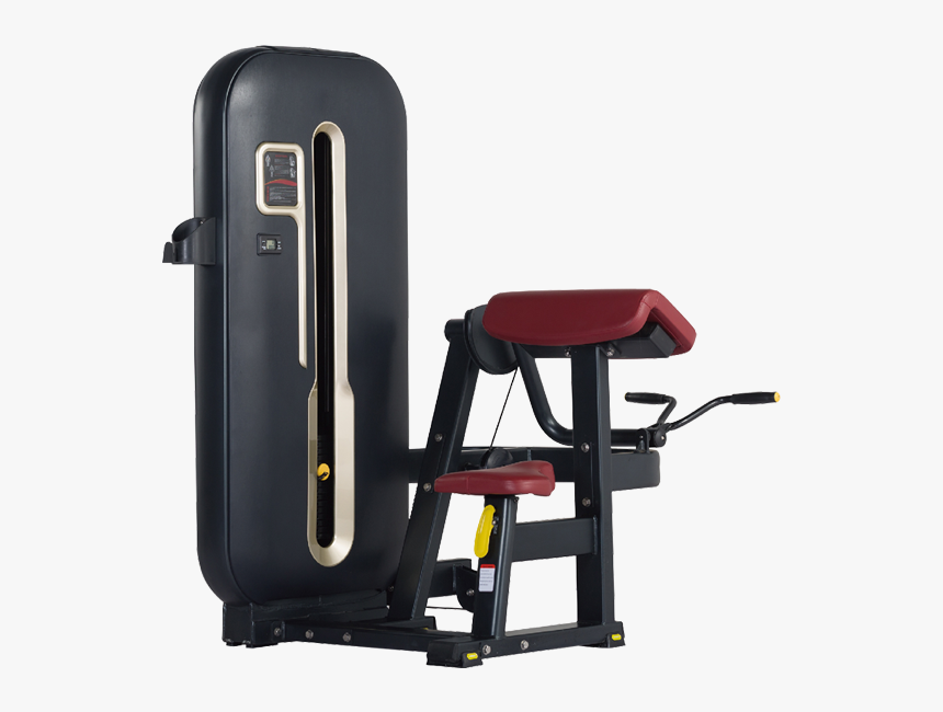 Bft-7006 Bicep Curl Exercise Equipment - Fitline Gym Equipments Png, Transparent Png