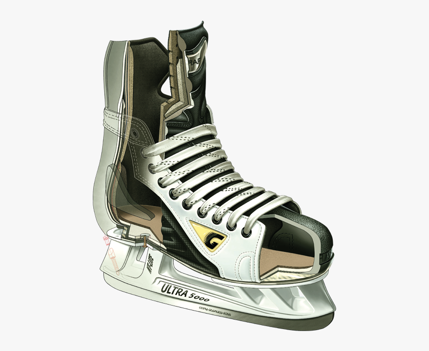 Hockey Skates Anatomy, HD Png Download