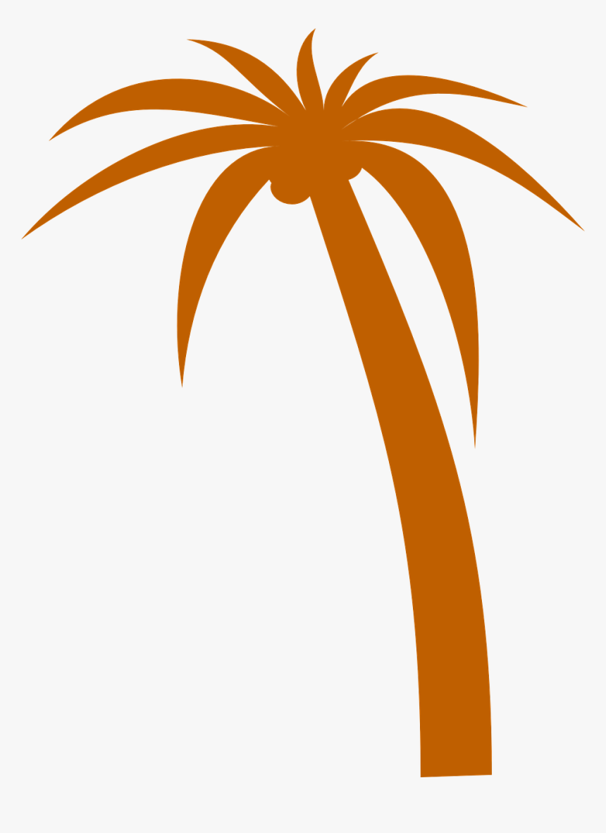 Tropical Tree Png, Transparent Png