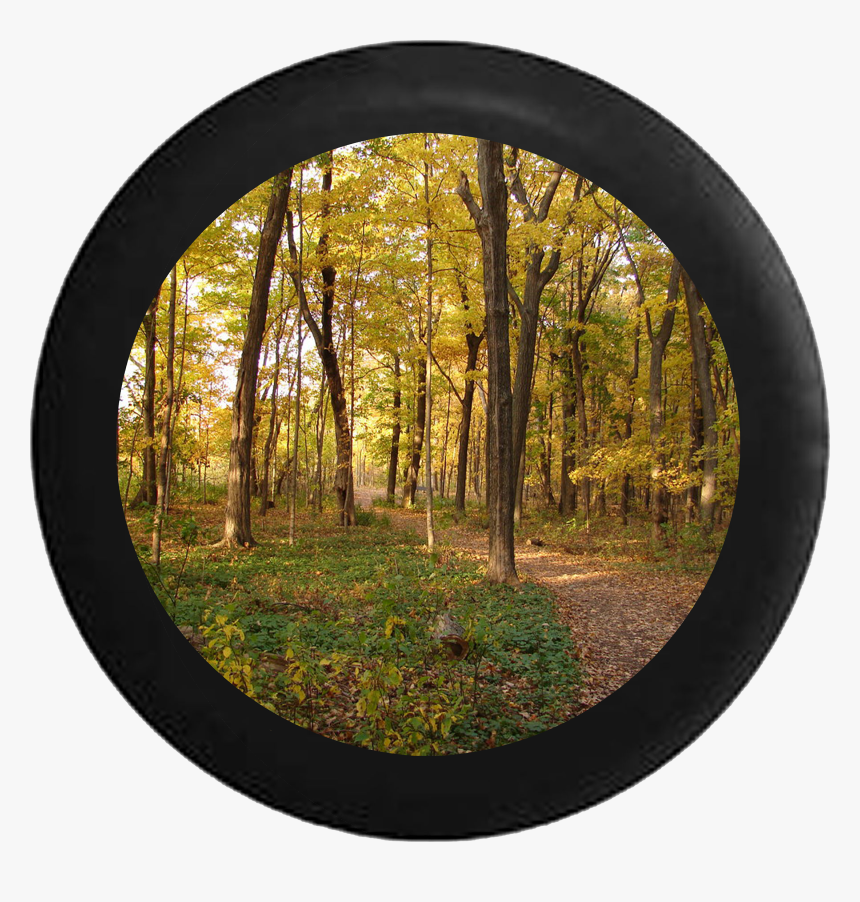 Autumn Trees Jeep Camper Spare Tire Cover 35 Inch R129, HD Png Download