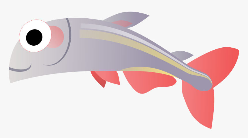 Transparent ปลา, HD Png Download