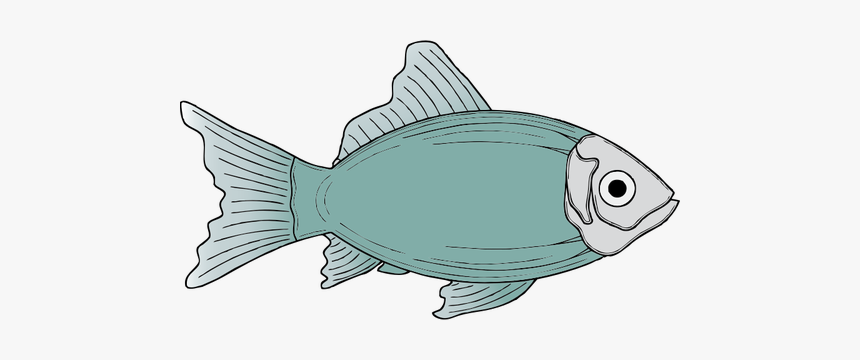 Generic Blue Fish Vector Illustration - Fish Clip Art, HD Png Download